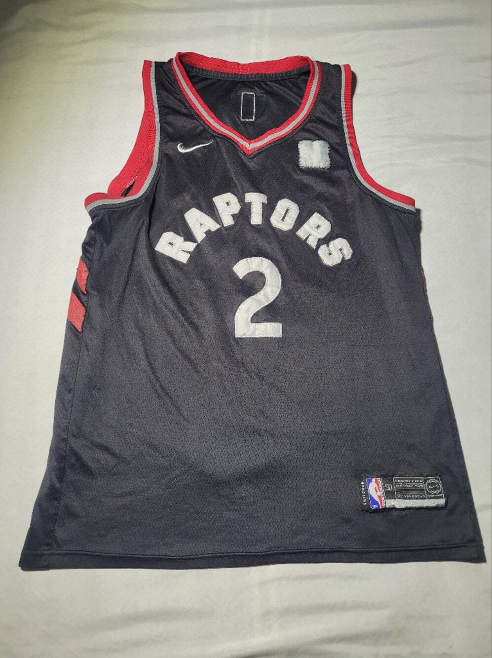 Nike Toronto Raptors Kawhi Leonard NBA Finals Jersey #2